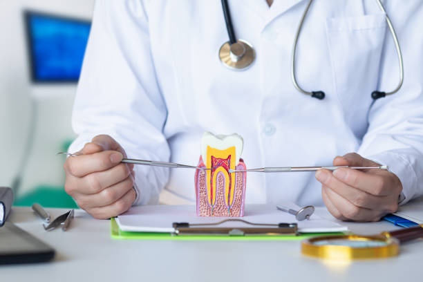 Best Emergency Root Canal Treatment in Utica, OH